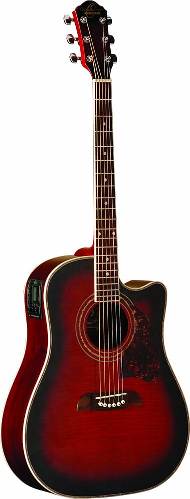 Amazon.com: Oscar Schmidt OG2CEFBC-A-U Dreadnought Cutaway